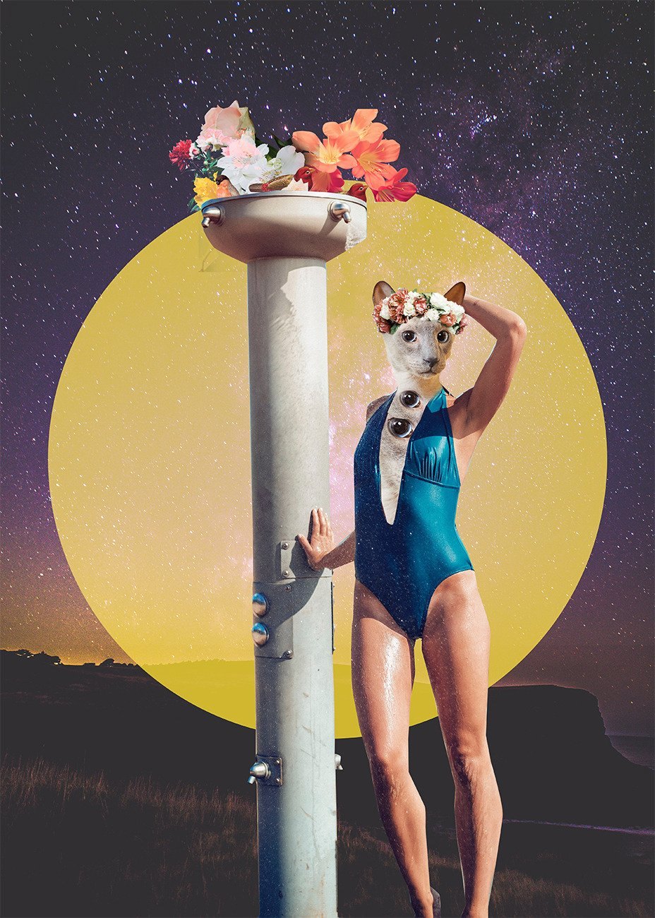 Untitled, digital collage