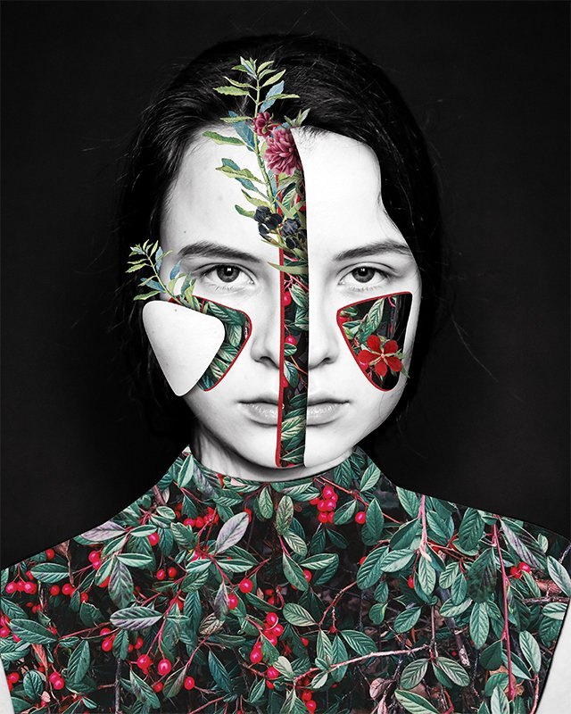 Untitled, digital collage