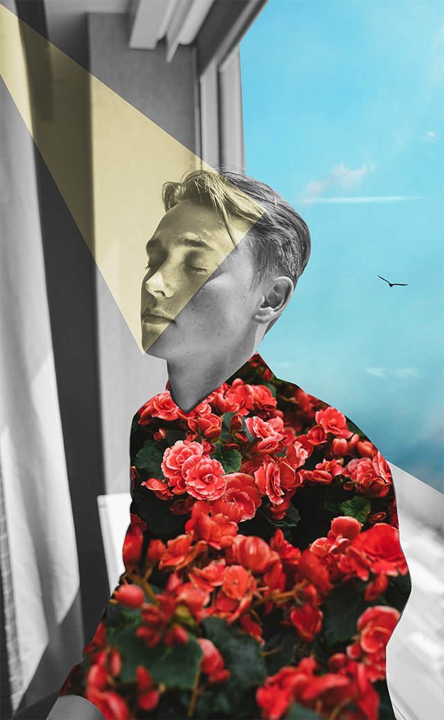 Untitled, digital collage