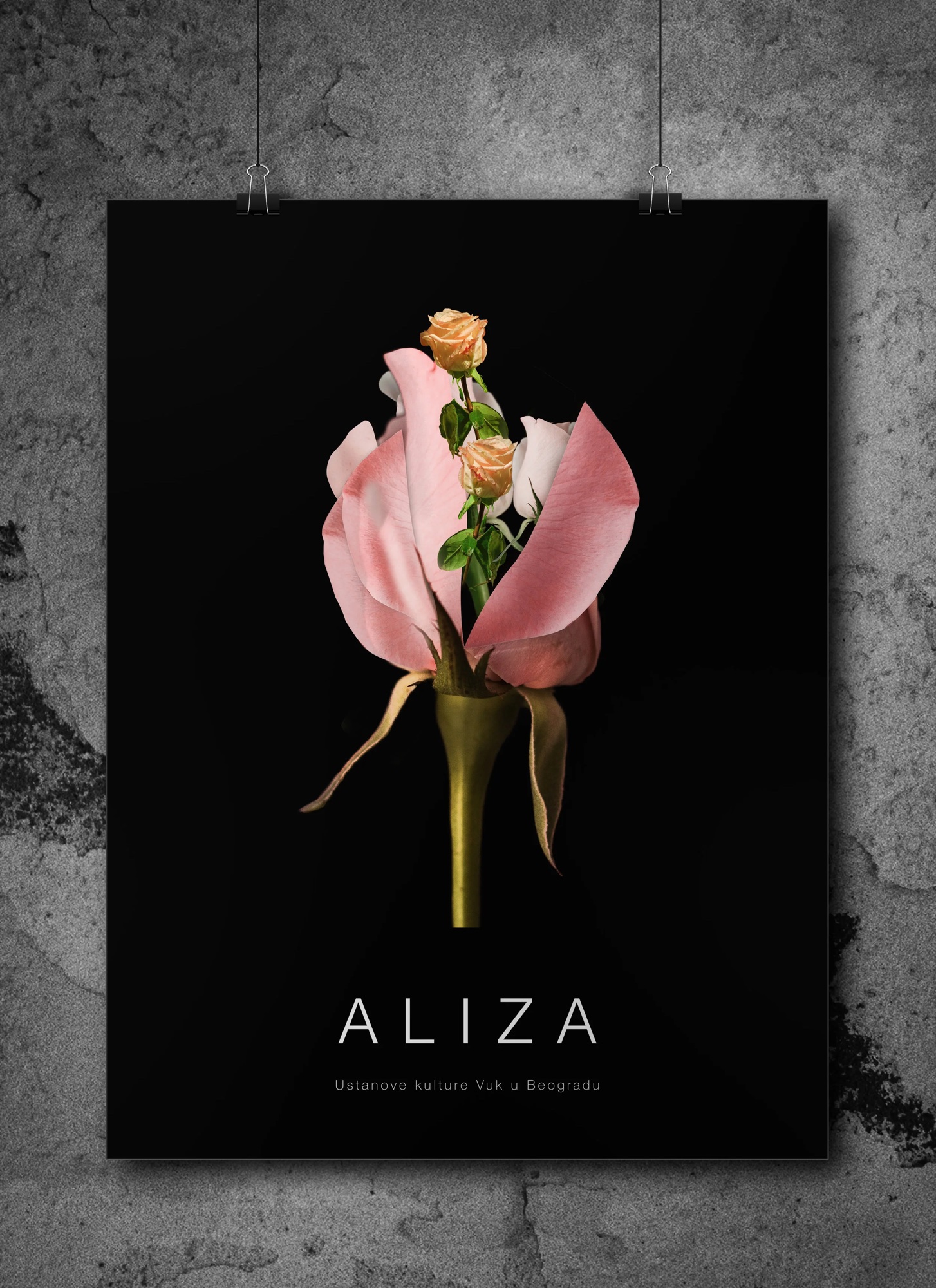 ALIZA by Ido Gidron, Belgrade. Poster.